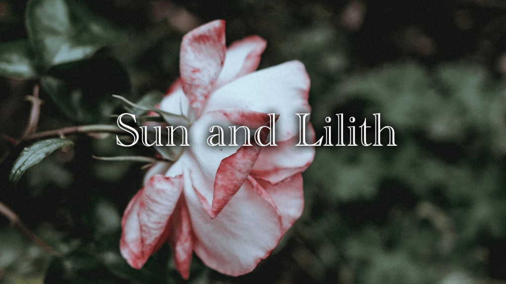 太陽×リリスのシナストリーアスペクト