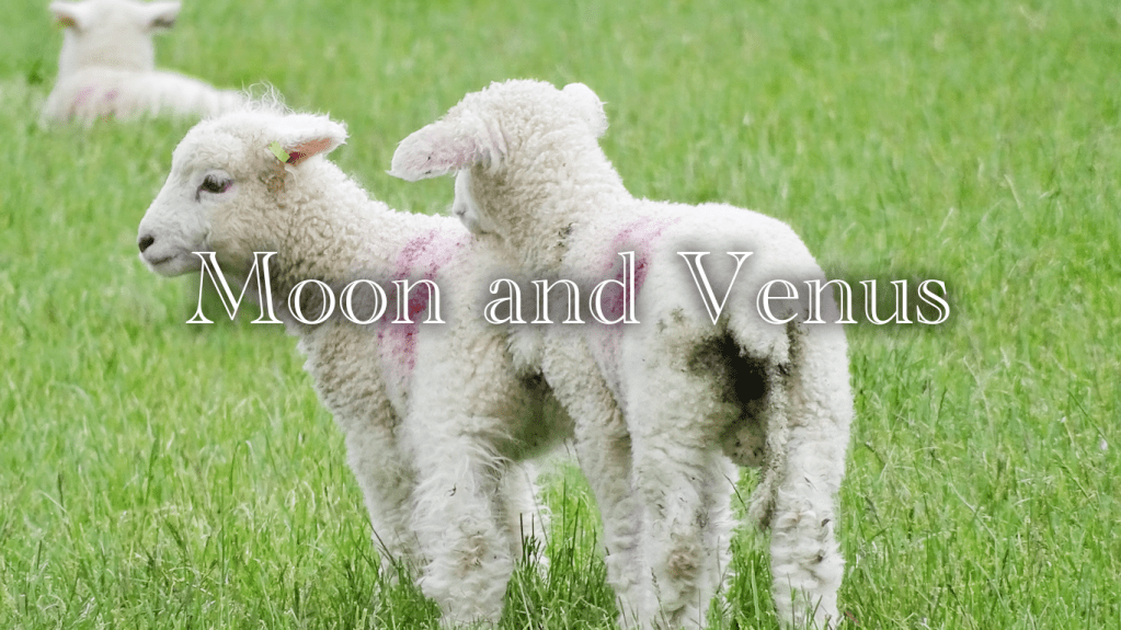 月×金星のシナストリーアスペクト