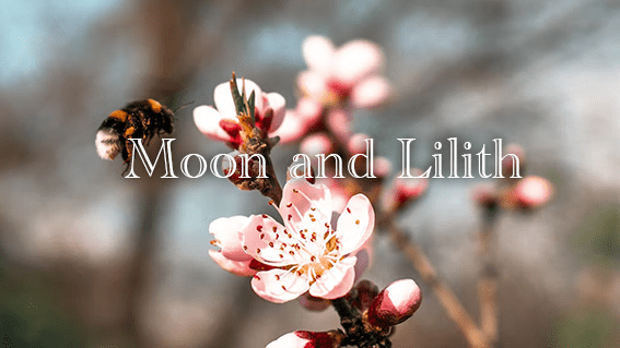 月×リリスのシナストリーアスペクト