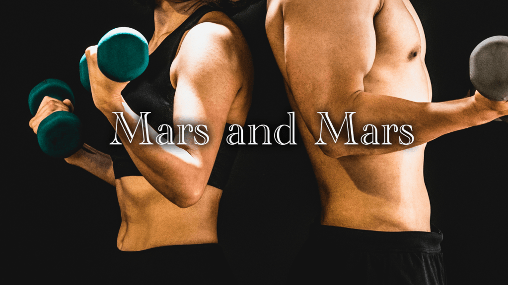 火星×火星のシナストリーアスペクト