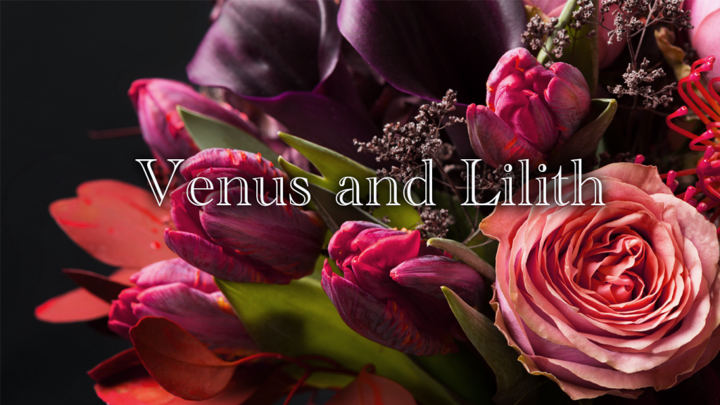 金星×リリスのシナストリーアスペクト