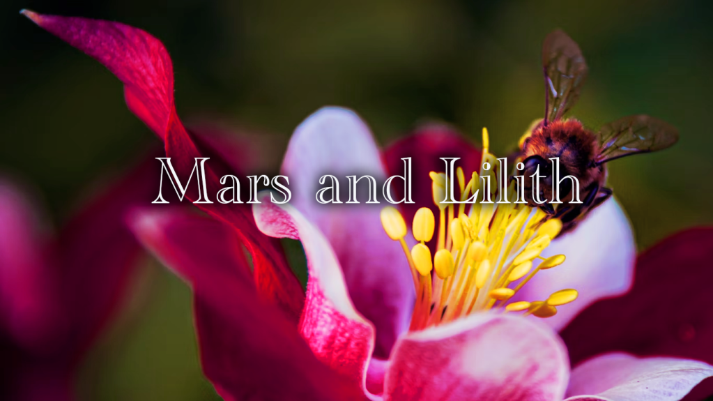 火星×リリスのシナストリーアスペクト